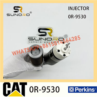 Common Rail Diesel Fuel Injector 194-5083 0R-4987 161-1785 0R-9530 166-0149 10R-1258 For CAT C10 C12 Diesel Engine