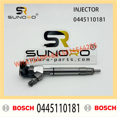 BOSCH injetor 0445110181 0986435053 Common Rail fuel Injector 0445110181 0986435053 for Mercedes-Benz 2.2CDi/2.7CDi